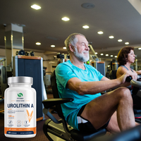 Complexe d'Urolithine A de qualité supérieure OEM/ODM |    Soutient la régénération cellulaire – Capsules d'Urolithine A en marque blanche – Soutien au bien-être cellulaire