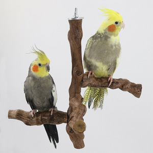 Supporto per Pappagalli in Legno Naturale a Forma di Ramo d'Albero, con Altalena e Posatoio per Affilare le Unghie - Product Image 4