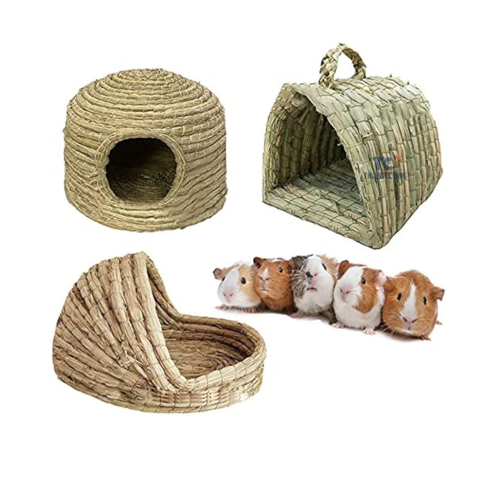 ธรรมชาติ