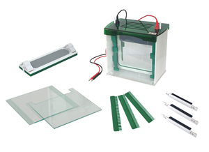Máy Phân Tích Điện Di Mini-gel Cho Điện Di <span class=keywords><strong>DNA</strong></span> Và RNA - Product Image 4