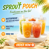 Pochettes souples personnalisées en PE recyclable avec bec verseur pour boissons gazeuses, 100ml-500ml