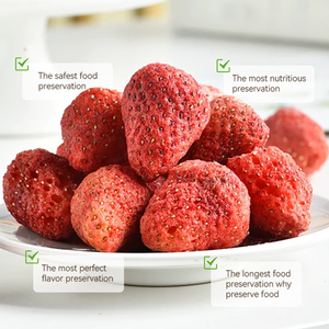 Accueil Lyophilisateurs Équipement de conservation des aliments - Product Image 5