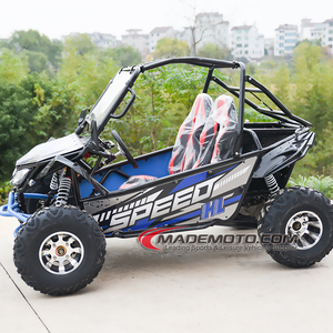 Gold-buggy-điện EU Ware nhà đóng điện đi Kart 3000W người lớn lớn hai chỗ ngồi Buggy - Product Image 1