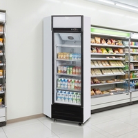 Glass Door Beverage Cooler Upright Beverage Display Cabinet Supermarket Beverage Fridge Convenience Store Drink Fridge