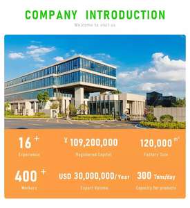 Fil de polyester 100pct DTY 300/96 LIM pour chaîne - Product Image 4