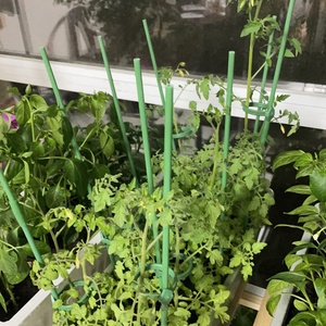 Varillas de Soporte para Plantas de Plástico Verde - Pergola Trepadora <span class=keywords><strong>con</strong></span> Diseño de Tubo de Acero para Flores, Uvas, Tomates y Pepinos - Product Image 4