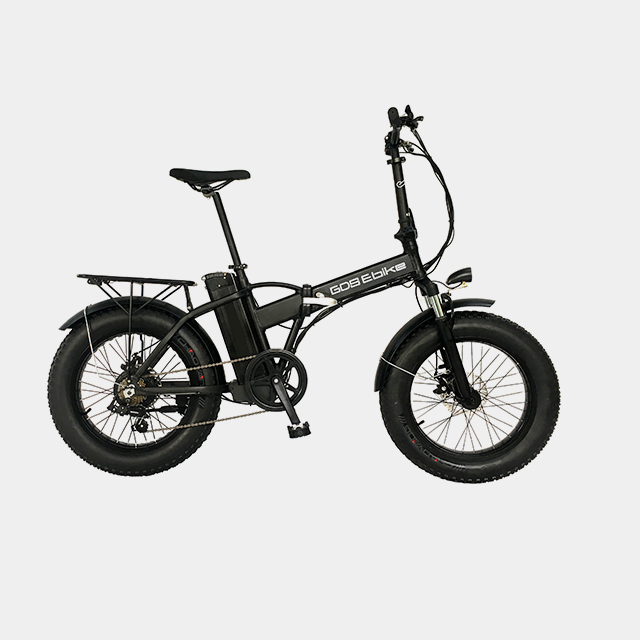 Folding Ebike Electric Bike Types Lifetime Free Maintenance 2025 Most Sold Product 20 Inch Ebike