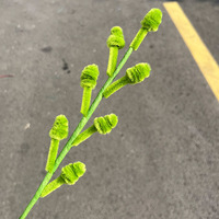 Fleurs artificielles prêtes à l'emploi DIY, tiges en chenille torsadées, nettoyeurs de tuyaux au crochet, feuilles d'eucalyptus pour la décoration de la maison et de mariage