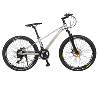 Vélo de montagne VTT haut de gamme ultraléger à 21 vitesses avec système de freinage à disque, cadre en alliage de magnésium-aluminium de 24 pouces