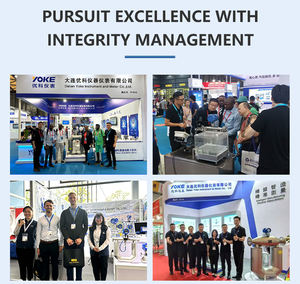 化学および廃水腐食性液体用電磁流量計 | IP68付きPTFE/PFA | 4-20mA & RS485 - Product Image 6