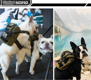 ISO9001 Zertifikat Fabrik <span class=keywords><strong>OEM</strong></span> Benutzer definiertes Logo Nylon Tactical Pet Pack <span class=keywords><strong>Harness</strong></span> Training Wandern Laufen <span class=keywords><strong>Dog</strong></span> Pack Rucksack - Product Image 3
