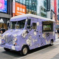 Remorque à glaces électrique d'occasion, camion/chariot alimentaire mobile pour restaurant, 220V, application pour frites, à vendre