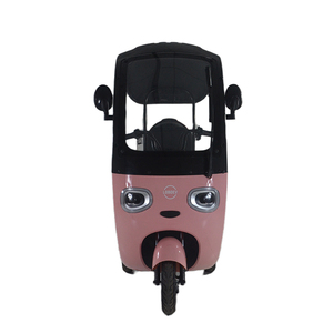 2024 Offre Spéciale de moto de vélo de Tricycle électrique à trois roues de haute qualité de 800W avec couvercle - Product Image 5