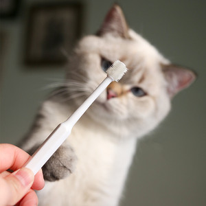 Cepillo de dientes para perros y gatos, limpieza bucal de 360 grados, mejora el mal aliento, elimina el sarro, pasta de dientes - Product Image 1
