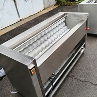 Automatische hoog-efficiënte aardappelwas- en schilmachine, commerciële borstelrol groentereinigingsapparatuur