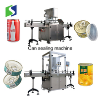Machine de remplissage de jus de boissons chaudes, ligne de fabrication carbonée, pour bouteille d'eau scintillante, plante de remplissage de boissons douces, remplissage de liquide