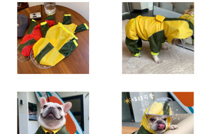 <span class=keywords><strong>Chubasquero</strong></span> para mascotas, traje de tormenta, cuello alto, lana dorada, <span class=keywords><strong>Labrador</strong></span>, impermeable, ropa para perros grandes, <span class=keywords><strong>chubasquero</strong></span> de cuatro patas con capucha - Product Image 4