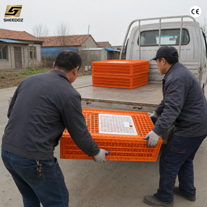 Jaula <span class=keywords><strong>de</strong></span> Transporte <span class=keywords><strong>de</strong></span> Aves <span class=keywords><strong>de</strong></span> Corral, Resistente y Apilable, para Compradores Mayoristas y Uso Agrícola - Product Image 1