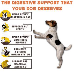 Probiotics-mascarilla masticable para perros y gatos, Logo de marca personalizado profesional, multivitamina - Product Image 4