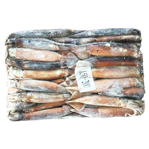 Calamar Illex Congelé d'Argentine (Calamar Géant) - Vente en Gros de Calamar - Prix du Calamar - Product Image 3