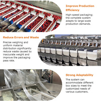 Automatische 12-14-kops multihead weegschaal fruitverpakkingslijn met doosafzetmachine en machine voor het vullen en verpakken van tomaten in trays