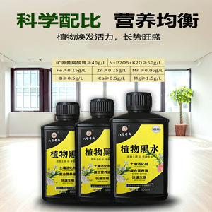 Solution nutritive pour plantes Black Water 300ml, activateur de sol pour plantes vertes, fleurs et plantes en pot - Product Image 3