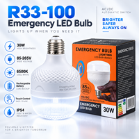 Ampoules LED à commande tactile, batterie rechargeable, 30W, lumière d'urgence pour le camping, AC85-265V, étanche, anti-poussière, 6500K, ampoules blanches froides