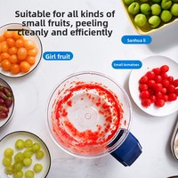 Elektrische druivenschiller Volautomatische huishoudelijke fruitenschilmachine Schiller Pruimen Bediende keukenapparaat