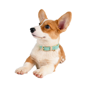 Kerah anjing kulit untuk anjing kecil sedang besar dapat disesuaikan lembut antilembap kerah anak anjing dengan gesper Aloi - Product Image 6