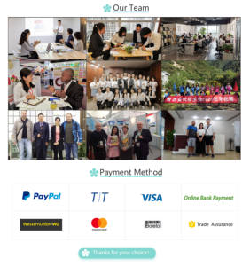 Doğal organik amerikan <span class=keywords><strong>Ginseng</strong></span> özü tozu amerikan <span class=keywords><strong>Ginseng</strong></span> özü - Product Image 6