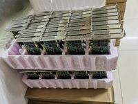 Tarjetas RAID Mega SAS3908 9560-8i de 4GB PCIe 4.0 X8 para Empresas, Venta al Por Mayor