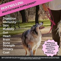 Compléments multivitaminés liquides Aonai pour chiens et chats, formule pour soutenir le système immunitaire, la santé de la peau et du pelage