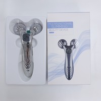 Outil de lifting du visage portable, rouleau rotatif à 360°, masseur amincissant, argenté, rouleau de massage facial 3D pour resserrer la peau