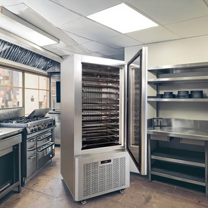 Piccolo congelatore automatico IQF Mini piastra per uso domestico e ristorante Shock Freezer Blast Chiller con componenti del nucleo della pompa del motore - Product Image 1