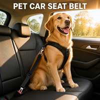 Ceinture de sécurité pour chien et chat, réglable, anti-choc, anti-saut, pour les trajets en voiture, 11 couleurs