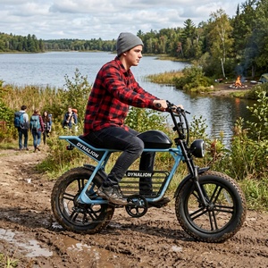 Vélo électrique à pneus larges écologique avec assistance au pédalage fiable, vélo à roulement fluide pour les visites guidées dans les jardins botaniques - Product Image 2