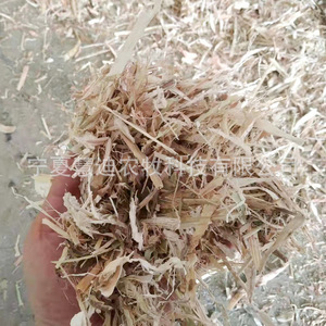 Pacas de Tallo de Maíz para Alimentación de Ganado Vacuno, Ovino y Equino - Product Image 2