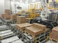 Palettiseur robot automatique KUKA ABB Kawasaki pour boîtes