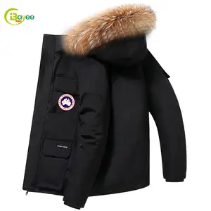 Dropshipping Custom Polyester Winter Private Label Puffer Jas Puffer Jas Afneembare Kap Mannen