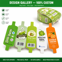 Duurzame waterdichte hangtags op maat gemaakte fruitnetzaklabels voor citrus, mango, sinaasappel, hittebestendige labels