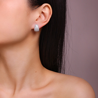 Boucles d'oreilles larges en argent sterling 925 avec moissanite pour femme, entièrement pavées de micro-moissanites couleur D VVS1, type clous