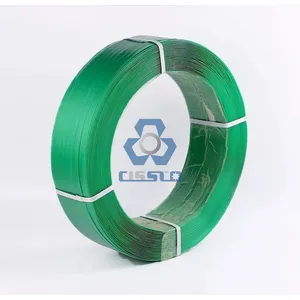 Ce Certificate Plastic PET Packing Strip Production Line