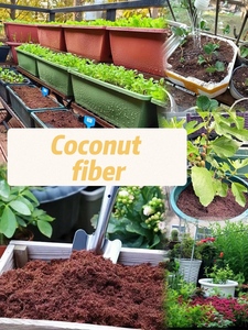 ก้อนกะลามะพร้าวย่อยสลายได้ทางชีวภาพ5กก. สำหรับการงอกของเมล็ดพืชในไทย - Product Image 2