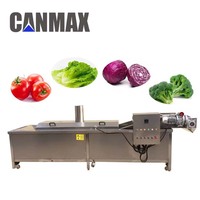 Support Personnalisation Machine à blanchir les cacahuètes les tomates les amandes les chips de fruits et légumes Machine à blanchir industrielle