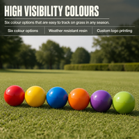 Ball de golf surlyn deux pièces, grande taille 60mm 90g, logo personnalisé OEM ODM, haute visibilité, entraînement, vente en gros