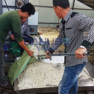 Ligne de production de sécheurs à bande continue pour noix, à économie d'énergie, pour le séchage des noisettes - Product Image 2