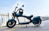 Prix d'usine, cyclomoteur électrique Citycoco, moto à deux roues, scooter électrique, moto pour adultes