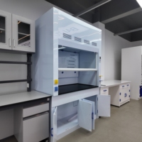 Hotte de laboratoire à conduit en PP avec plan de travail en résine phénolique, 1200 mm, pour laboratoire résistant aux produits chimiques, personnalisable ODM