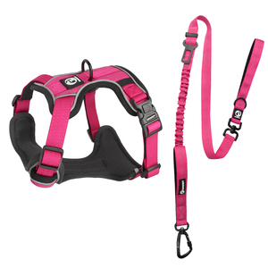 小中型および大型犬用ハーネスクラシックセキュリティチェストプルナイロンペットハーネスなし調節可能な反射ステップインドッグハーネス - Product Image 2