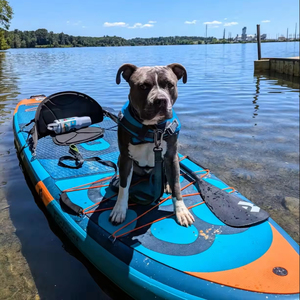 Tabla de Paddle Surf para Perros de Diseño Innovador, Extra Ancha, Material Drop Stitch, Tabla de SUP para Familias y Mascotas, Modelo BF04/2 Skatinger W - Product Image 1